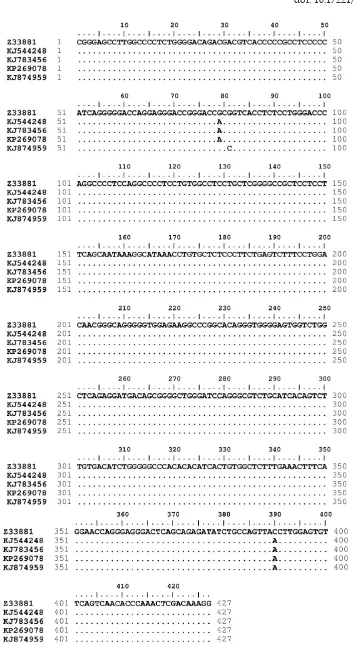 Figure 2. Nucleotide sequence comparison of the β-LG fragments (NCBI Accession Nos. KJ544248, KJ783456, KP269078, and KJ874959) with GenBank reference sequence of the goat β-LG gene (NCBI Accession No