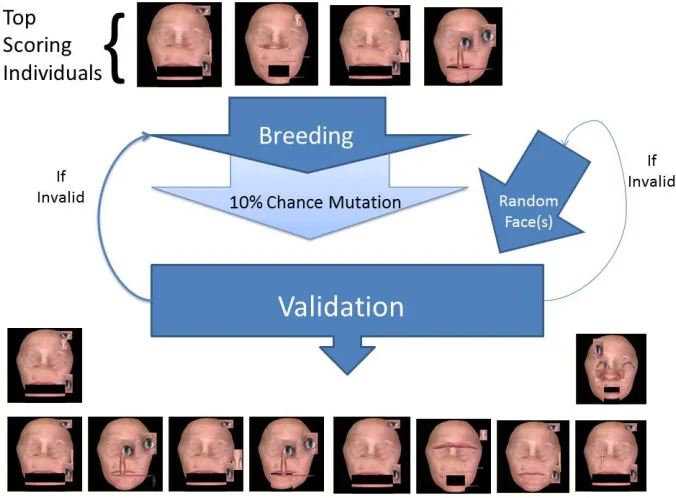 Figure 3.1: An overview of the genetic algorithm process. Top scoring individuals breed,with chance of child mutation to produce the next generation of individuals