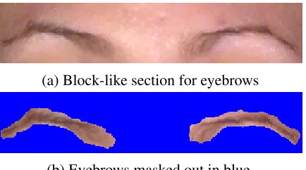 Figure 3.2: Eyebrows in two different styles. The blue areas in the masked version is notrendered.