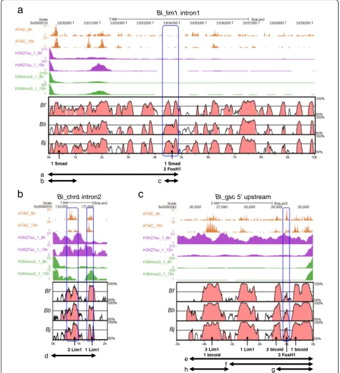 Fig. 3 Epigenetic data fromwith Vista plot ofconserved non-coding sequences (CNSs) were colored in red