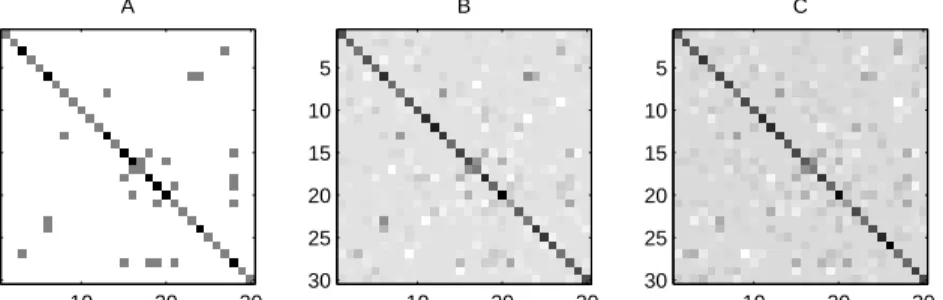 Figure 3: Recovering the sparsity pattern for small sample size. We plot (A) the original inverse covariance matrix Σ −1 , (B) the solution to problem (1) for n = 30 and (C) the solution for n = 20