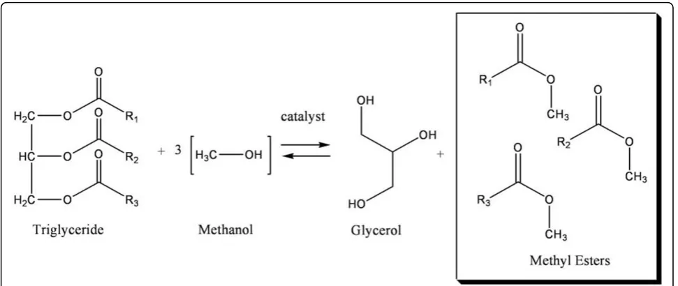 Figure 5 The Transesterification Reaction. During transesterification triglycerides obtained from biological products are processed with a threetimes excess of alcohol to generate glycerol and alkyl esters