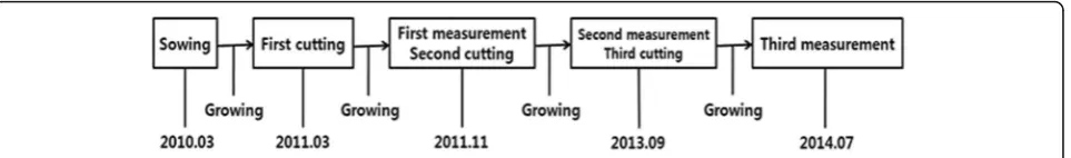 Fig. 1 Experimental procedure of sprout response to sapling cutting of six oak species for 4 years