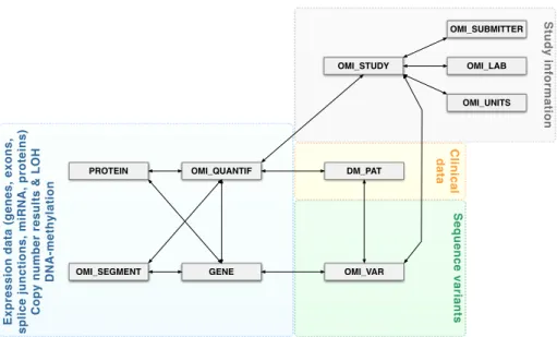 Fig. 1. Simplified omic data model