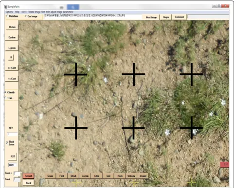 Fig. 2 Example of crosshairs generated by SamplePoint software for estimating cover by field-based digital photography method