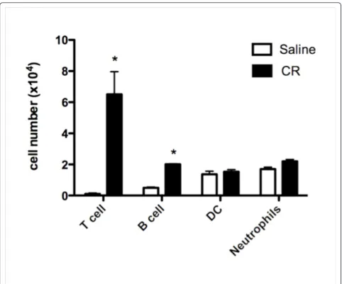 Figure 2 Numbers of T lymphocytes, B lymphocytes, dendritic cells and neutrophils in the BAL fluid of mice sensitized andchallenged with cockroach allergens using the short term protocol