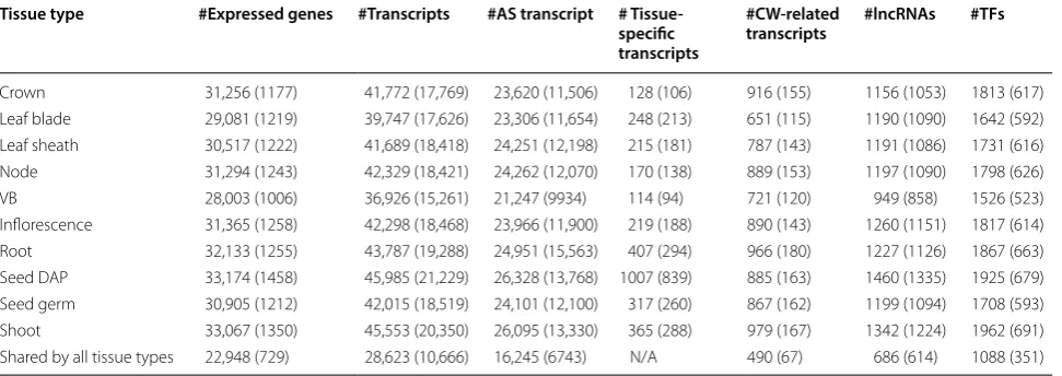 Table 4 A summary of transcripts predicted to be expressed in each tissue type