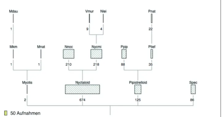 Fig. 5: bcAdmin’s classification tree for selected recording nights (from v. 2.0 on).