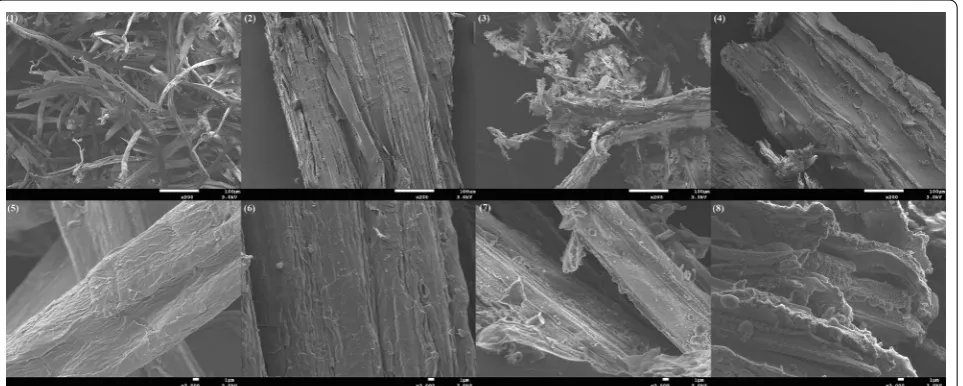 Fig. 5 SEM imaging at low (1–4) and high (5–8) magnifications of birch treated with hybrid organosolv pretreatment, with (1, 5) and without (2, 6) the presence of explosive discharge at the end of the pretreatment and treated with traditional steam explosion with (3, 7) and without (4, 8) the presence of explosive discharge at the end of the pretreatment