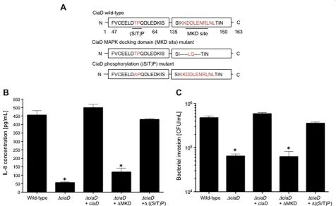 Figure 5 The MKD site of CiaD is necessary for cellular invasion and IL-8 secretion. (A) Schematic representation of the CiaD wild-typeprotein, the CiaD MAP kinase docking motif (ΔMKD site) mutant protein, and CiaD proline directed-phosphorylation site (Δ(