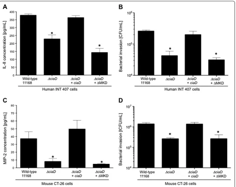 Figure 6 CiaD function is conserved between strains of C.required for IL-8 secretion from human INT 407 cells