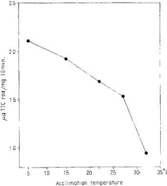 Fig. 1: Activity of the succinic dehydrogenase complex in liver homogenates of male mice as a function of acclimation temperature