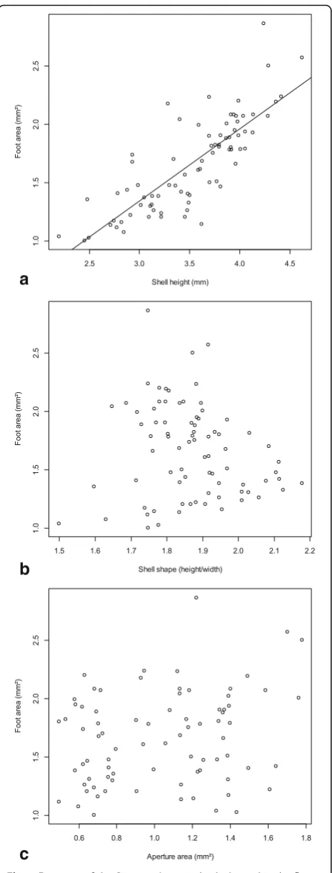Fig. 7 Foot area of the P. antipodarum individuals used in the flowtank experiment plotted against shell height (a), shell shape (b) andaperture area (c)