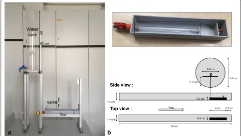 Fig. 2 Experimental setup used for the CFD studies. a semi-circular flow channel resembling the channel with the platform where the snails wereplaced in the real experiments