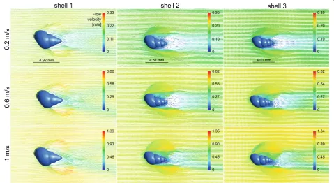 Fig. 6 Top view of the flow environment around the STL shell models 1–3 at three different flow velocities