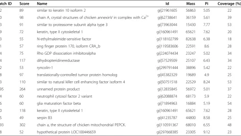 Figure 2 Abundance of differentially expressed PEPCK protein in the livers of ascites and healthy broilers.