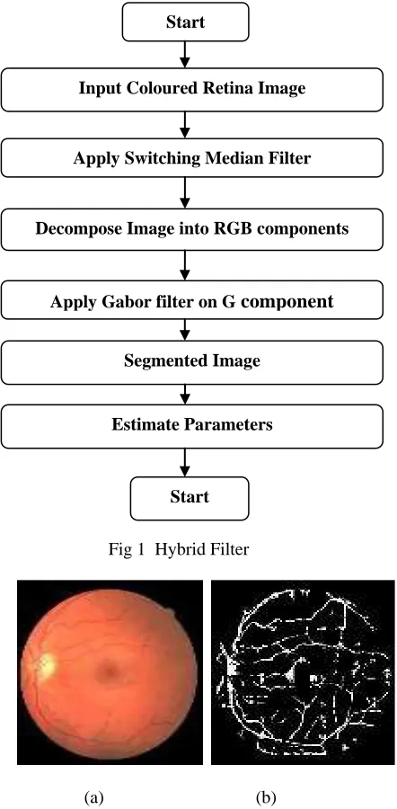 Fig 2 (a)Noiseless image (b) Segmented image using hybrid filters     