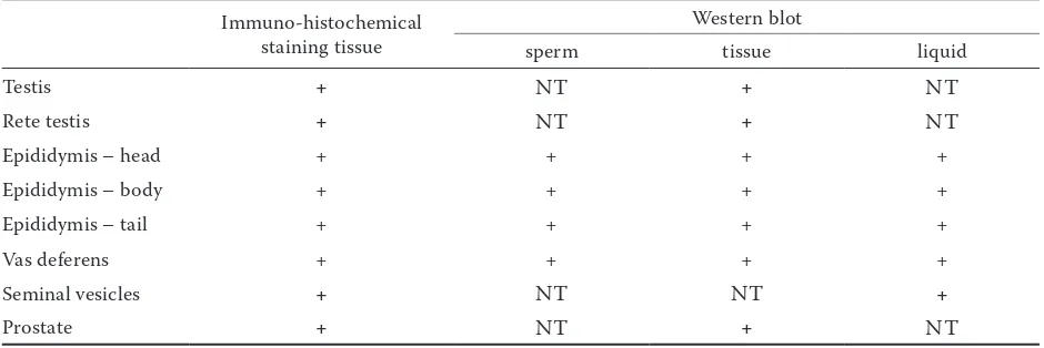 Table 1. Expression of CD9 tetraspanin in the bull reproductive tissues, fluid, and sperm 
