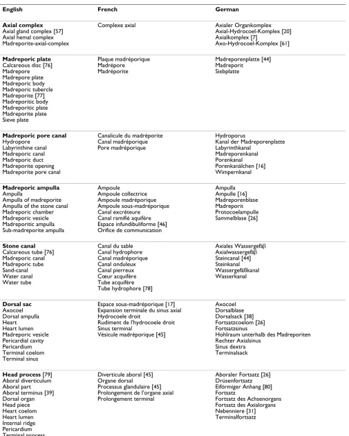 Table 4: Trilingual list of technical terms used in publications dealing with the axial complex.