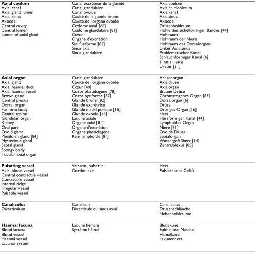 Table 4: Trilingual list of technical terms used in publications dealing with the axial complex