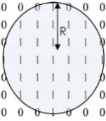 Fig. 3.Disc structuring element with radius R = 3