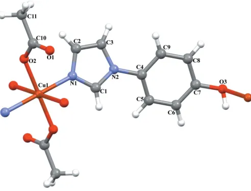 Figure 2The crystal structure of the title compound showing the formation ofchains extending parallel to [100]