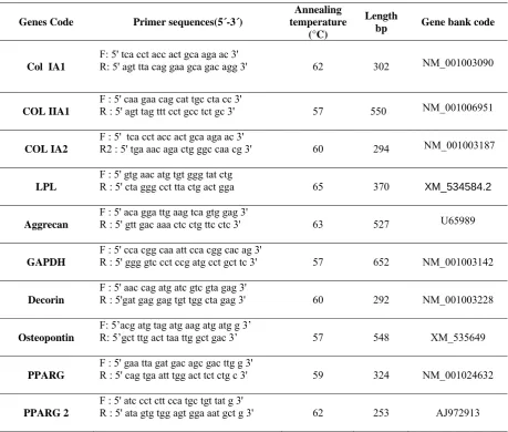 Table 1: The primers used in RT-PCR analysis  