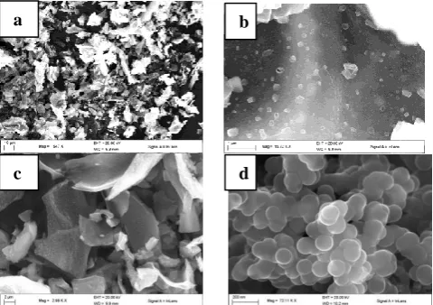 Fig. 3.  (a and b) SEM images of carbonized coconut fibre at 600     oC under different magnifications