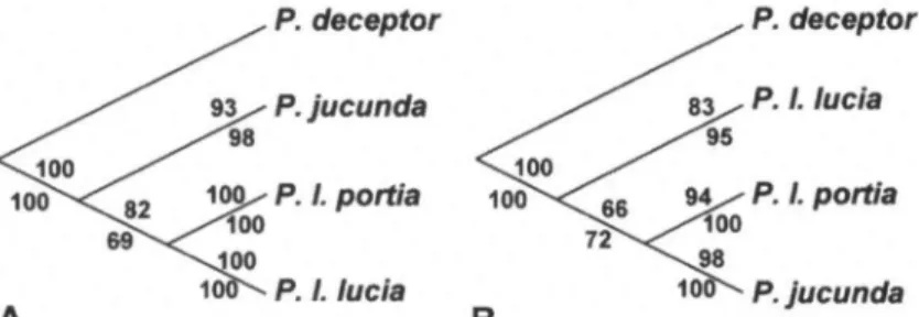 Table I summarizes the uncorrected divergence values observed in pairwise com-