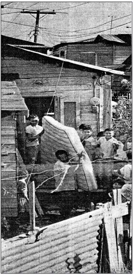 Figure 4.16. Placido Mercado & family in ‘Monacillos’ Public Housing Project.’ A man literal-ly ‘on the move’, Placido is pictured as progressing up the ladder