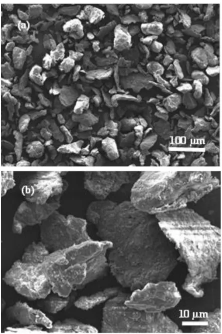 Fig 6. SEM micrograph of the MgH2 powder as received from the supplier  
