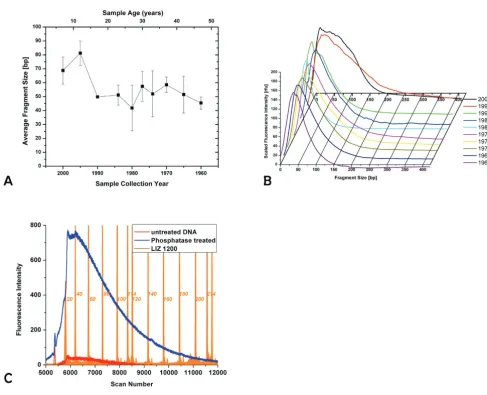 Figure 1Panel A shows the size distribution of DNA extracted from moth samplesshown here in red