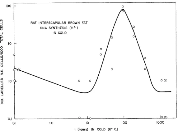 Fig. 3: Plot of frequency of reticulo-endothelial cells exhibiting synthesis of DNA following various times of exposure of the host to cold 