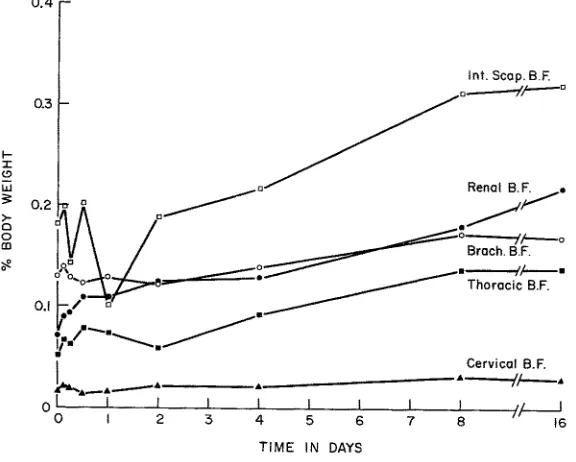 Fig. 4: Numbers of white adipose celis per unit area in sections of epididymal fat from adult male rats exposed to cold for various periods of time 