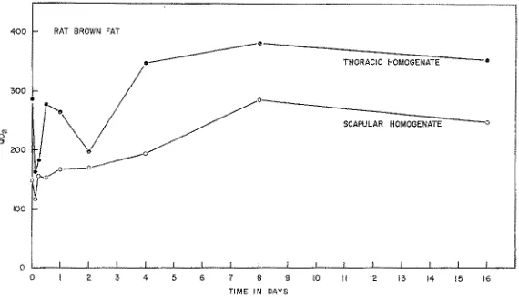Fig. 6: QO~ in #I O~/mg N/hr of homogenates of" brown adipose tissues taken respectively from thoracic and interscapular sites in rats exposed to cold for various times up to 60 days