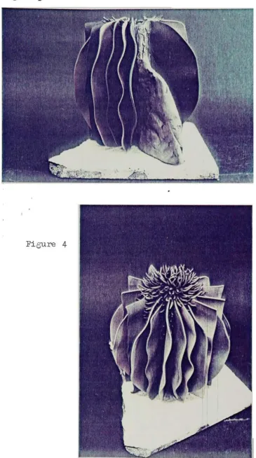 Figure4