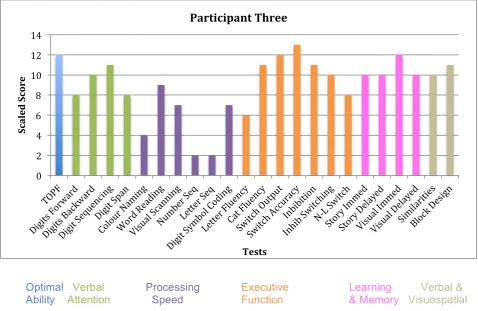 Figure 3. Scaled test scores for participant three. 