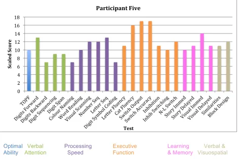 Figure 5. Scaled test scores for participant five. 