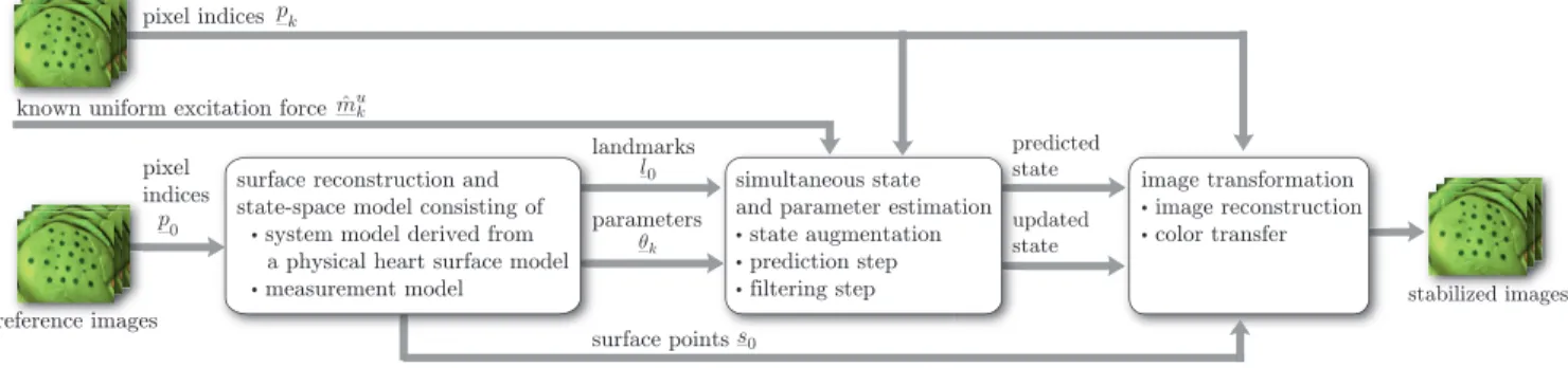 Fig. 2. Model-based transformation of the current images to the stabilized images incorporating the state-space model, which considers the physical characteristics of the heart surface