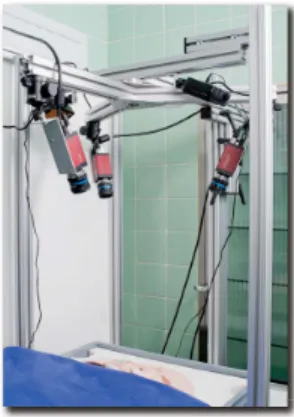 Fig. 4. The measured posions of the small green markers are used for evaluating the visual stabilization and therefore, they are not considered by filtering