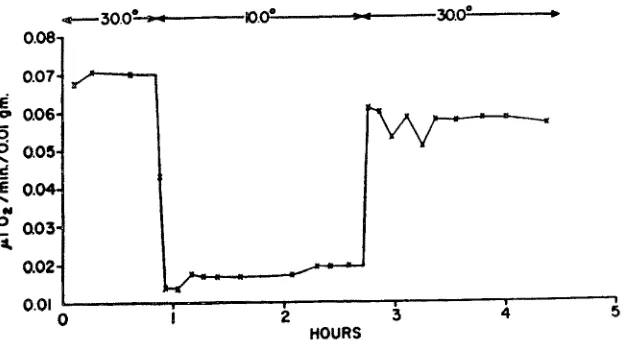 Fig. 1: Under- and overshoots of oxygen consumption following abrupt changes in ambient temperature in anaesthetized motionless brine shrimp Artemia salina