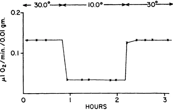 Fig. 2: Fast direct adjustment to abruptly d~anged water temperatures: carbon dioxide output in Arternia salina