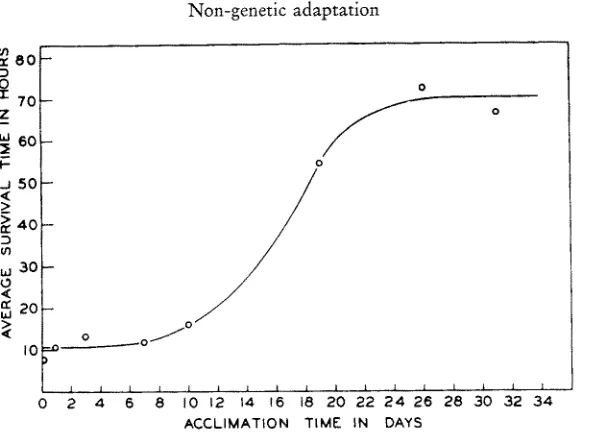 Fig. 4: Time course of stabilization in the lobster Homarus americanus. Given is the gain in average survival time of groups of 6 to 10 lobsters previously kept at 14.50 C and transferred into an acclimation temperature of 23.0 C for periods ranging from 1