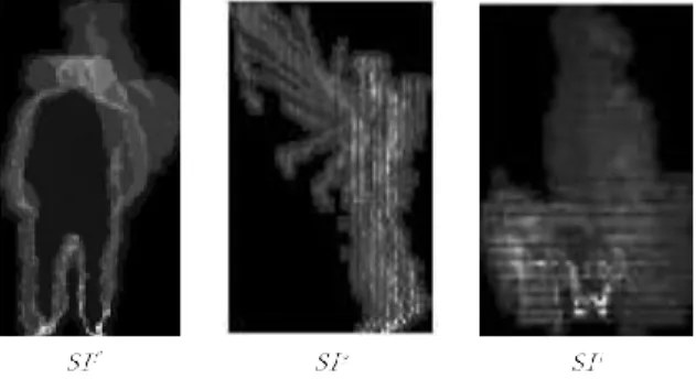 Fig. 1. Salient Information (SI) maps. From the left to the right:  front (f)   view,  side (s) view and top (t)   view