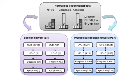 Figure 6 A comparative study of apoptotic signalling in the context of Boolean and probabilistic Boolean networks