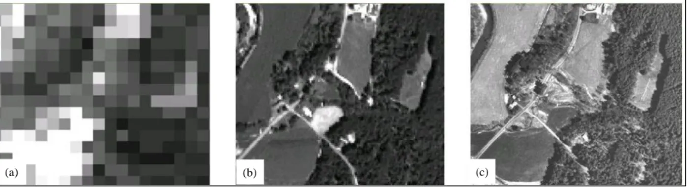 Figure  1.2  shows  the  visual  appearance  of  images  with  different  spatial  resolutions