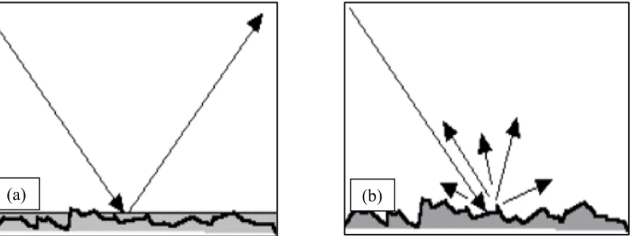 Figure 2.3 Types of reflection: (a) specular reflection from a smooth water surface and (b) diffuse reflection from a  non-water surface 