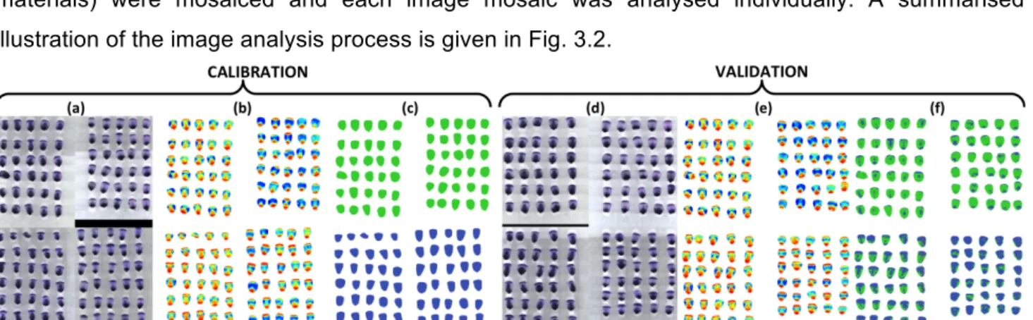 Figure 3.2 Summary of image analysis process, illustrated using sound class (top) vs. yellow class  (bottom) with the pixel-wise approach (object-wise analysis followed the same method)