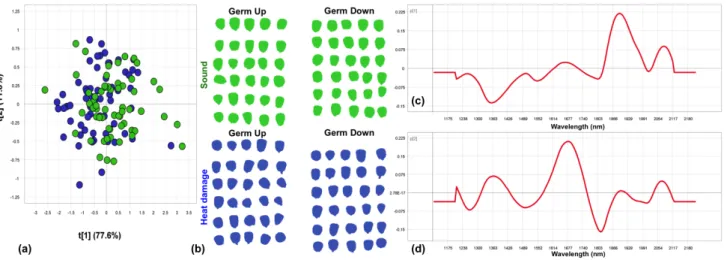 Figure 3.12 Object-wise PCA analysis of heat damage class vs. sound class. Minimal separation of  classes  was  observed