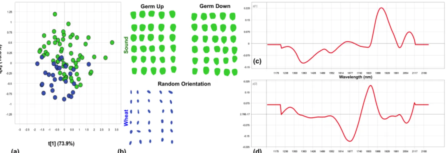 Figure  3.13  Object-wise  PCA  analysis  of  wheat  class  vs.  sound  class.  Fair  separation  of  classes  was observed